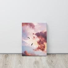 Load image into Gallery viewer, Free Fall Canvas Print
